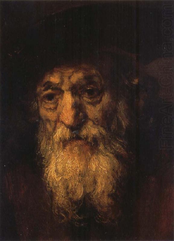 REMBRANDT Harmenszoon van Rijn Portrait of an Old Jew china oil painting image